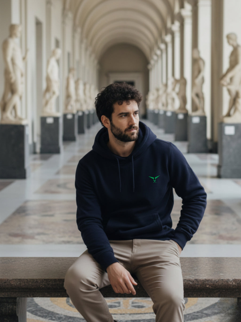 Solid Pullover  Hoodie